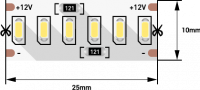 27437 Лента светодиодная стандарт 3014 240 LED/м 24 Вт/м 12В IP20 Холодный белый