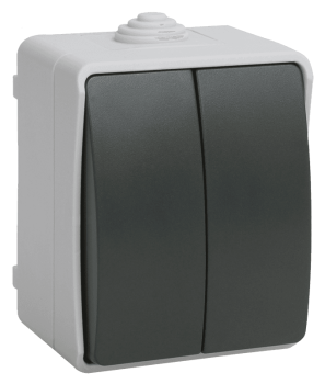 41648 ФОРС Выключатель 2-клавишный для открытой установки 10А IP54 ВС20-2-0-ФСр серый IEK