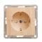 23243 Розетка скрытая с заземлением со шторками в рамку сосна W59 RS16-152-7-86