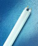 2480 Лампа люминесцентная L18W/765 G13(Т8) OSRAM