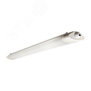 43419 Светильник светодиодный пылевлагозащищенный ДСП-1006-L 36Вт 6500К IP65 1200мм EKF PROxima
