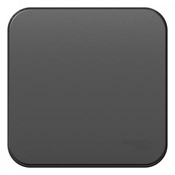 40695 Выключатель 1-кл. ОП Blanca 10А IP20 (сх. 1) 250В с изолир. пластиной антрацит SE
