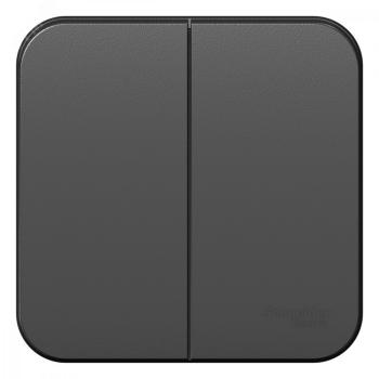 40696 Выключатель 2-кл. ОП Blanca 10А IP20 (сх. 5) 250В с изолир. пластиной антрацит SE