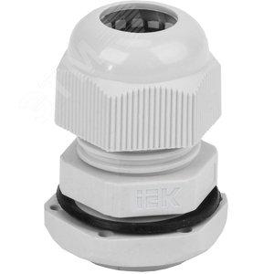 37023 Сальник PG 11 диаметр проводника 7-9мм IP54 IEK