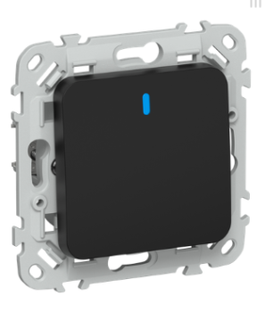 44072 Выключатель кнопочный проходной 1-кл. СП FLITE ВС61-2-1-ФлЧ 10А с индикацией механизм черн. IE