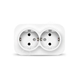 42796 Розетка 2-м ОП 16А IP20 с заземл. бел. IONICH