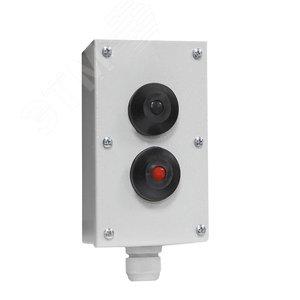 42919 Пост кнопочный ПКУ-15-21.121-54У2 (1*ВК30-10-11110-54(1з+1р) черная + 1*ВК30-10-11110-54(1з+1р
